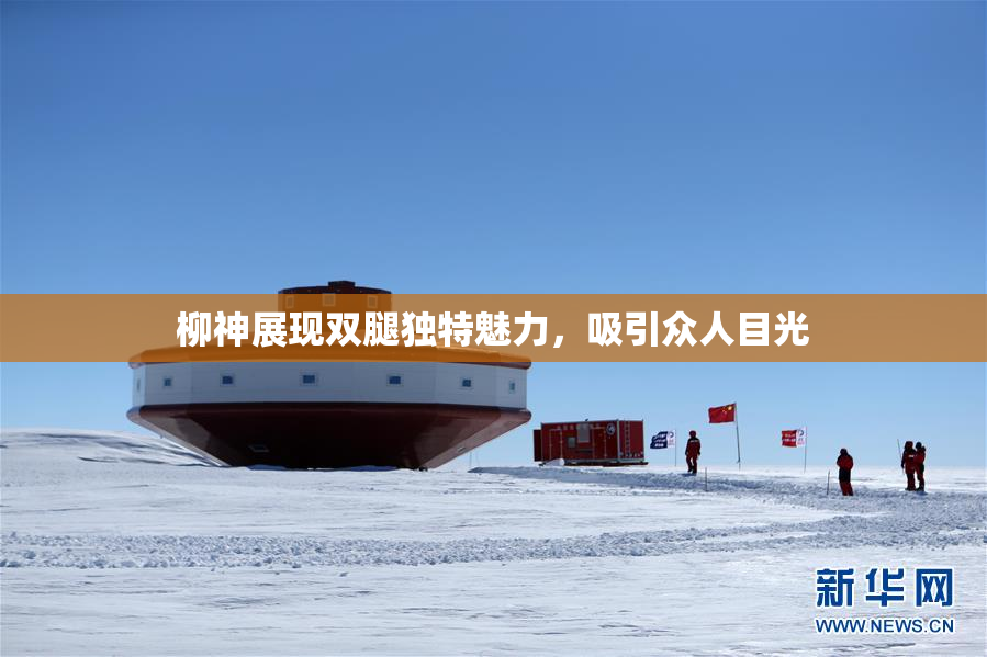 柳神展现双腿独特魅力，吸引众人目光
