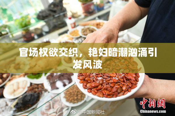 官场权欲交织，艳妇暗潮汹涌引发风波