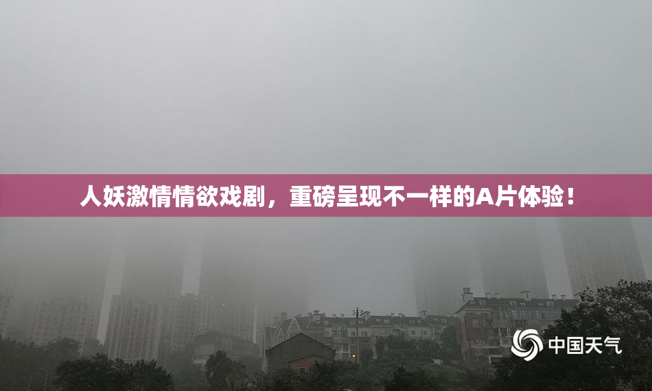 人妖激情情欲戏剧，重磅呈现不一样的A片体验！