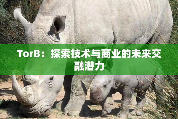 TorB：探索技术与商业的未来交融潜力