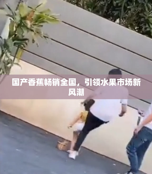 国产香蕉畅销全国，引领水果市场新风潮