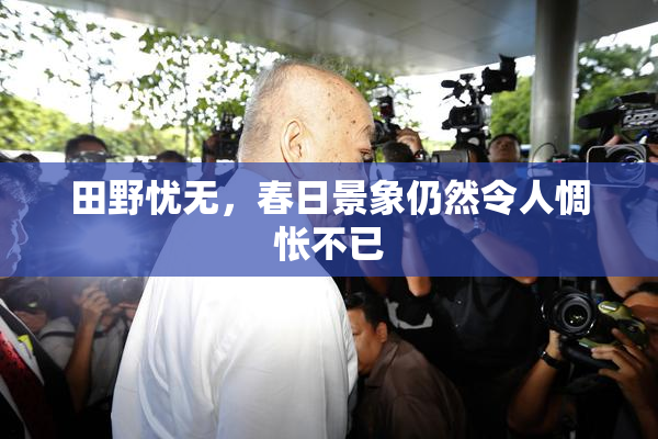 田野忧无，春日景象仍然令人惆怅不已