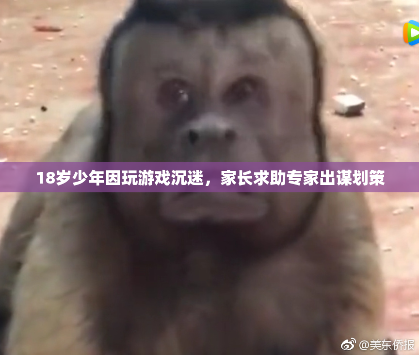 18岁少年因玩游戏沉迷，家长求助专家出谋划策