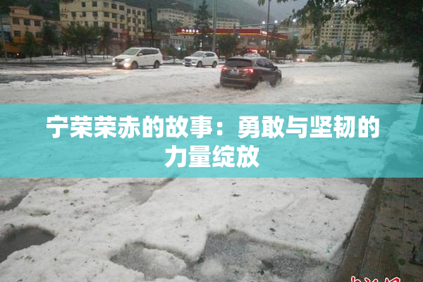 宁荣荣赤的故事：勇敢与坚韧的力量绽放