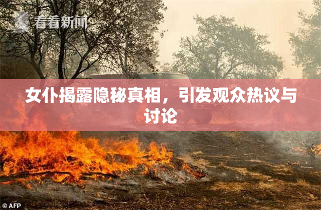 女仆揭露隐秘真相，引发观众热议与讨论