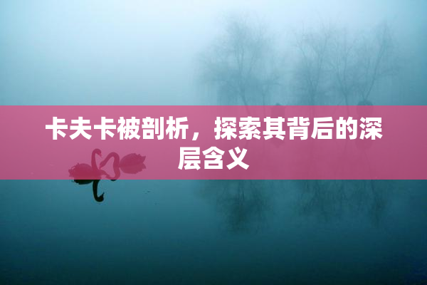 卡夫卡被剖析，探索其背后的深层含义