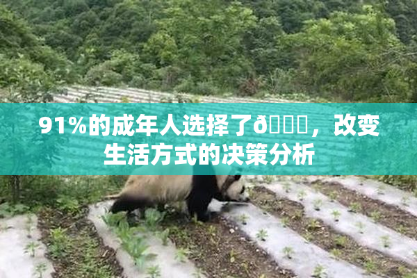 91%的成年人选择了🔞，改变生活方式的决策分析