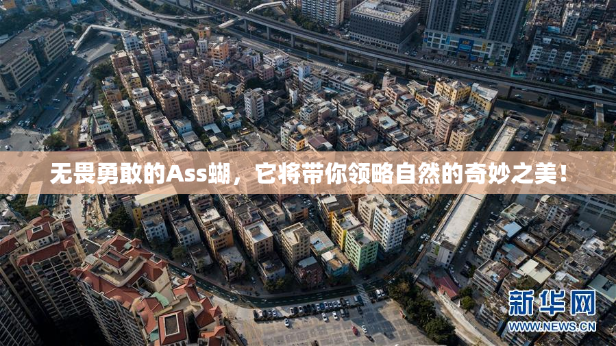 无畏勇敢的Ass蝴，它将带你领略自然的奇妙之美！