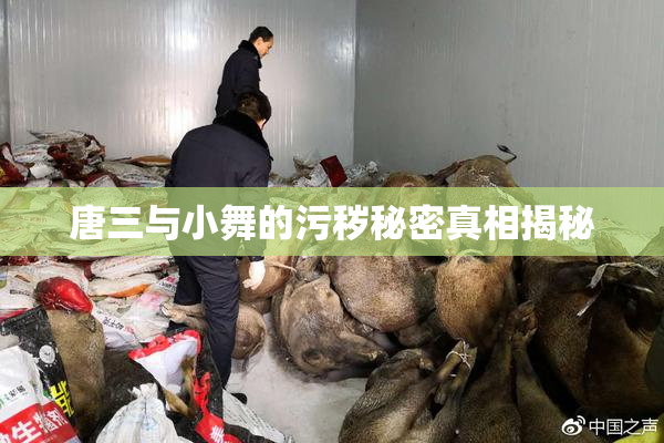唐三与小舞的污秽秘密真相揭秘