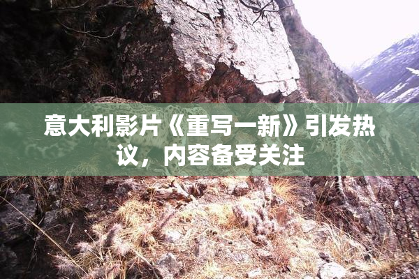 意大利影片《重写一新》引发热议，内容备受关注