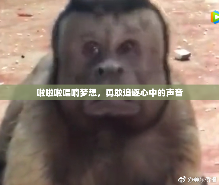 啦啦啦唱响梦想，勇敢追逐心中的声音