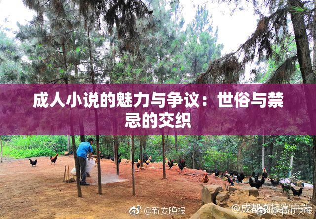 成人小说的魅力与争议：世俗与禁忌的交织