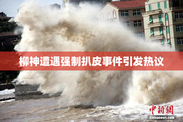 柳神遭遇强制扒皮事件引发热议