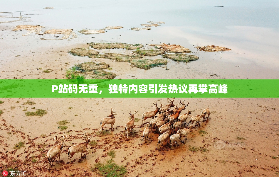P站码无重，独特内容引发热议再攀高峰