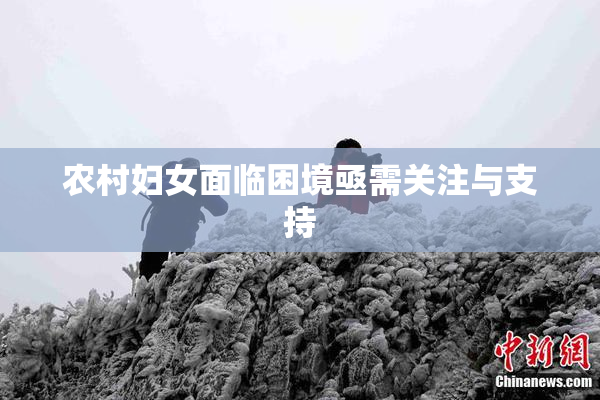 农村妇女面临困境亟需关注与支持