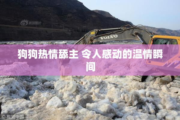 狗狗热情舔主 令人感动的温情瞬间