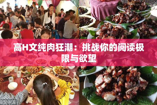 高H文纯肉狂潮：挑战你的阅读极限与欲望