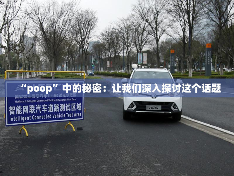 “poop”中的秘密：让我们深入探讨这个话题