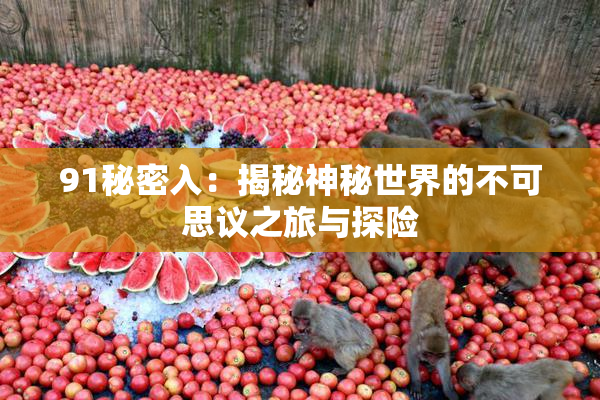 91秘密入：揭秘神秘世界的不可思议之旅与探险