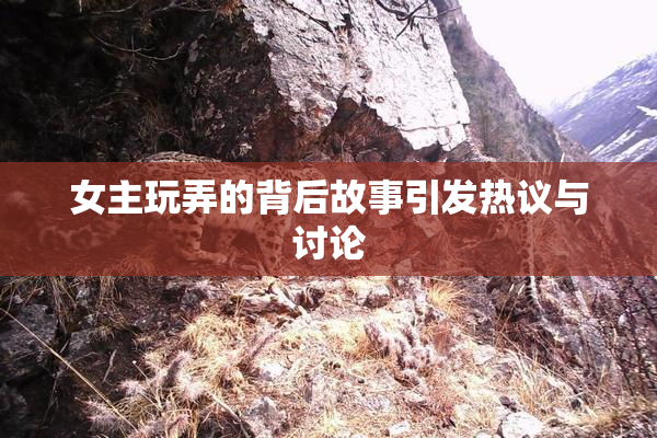 女主玩弄的背后故事引发热议与讨论