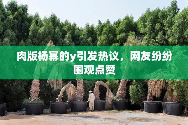 肉版杨幂的y引发热议，网友纷纷围观点赞