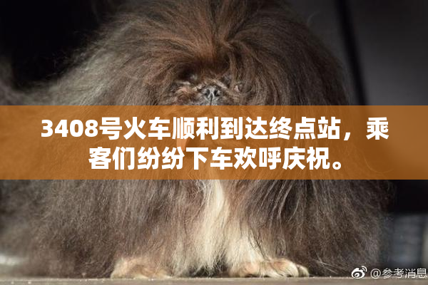 3408号火车顺利到达终点站，乘客们纷纷下车欢呼庆祝。