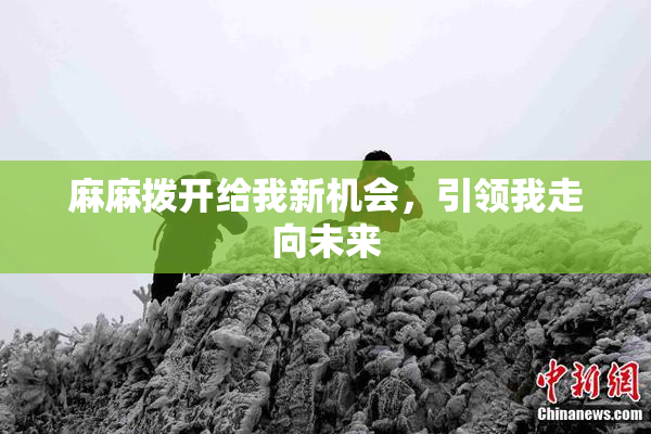麻麻拨开给我新机会，引领我走向未来