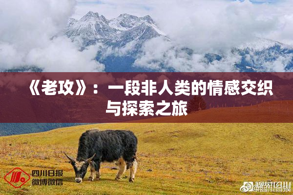 《老攻》：一段非人类的情感交织与探索之旅