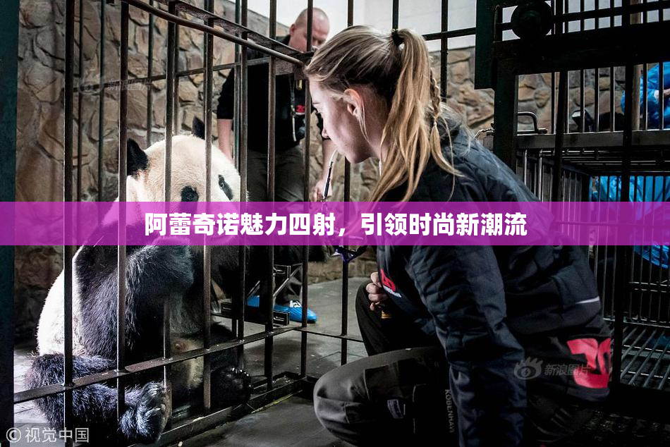 阿蕾奇诺魅力四射，引领时尚新潮流