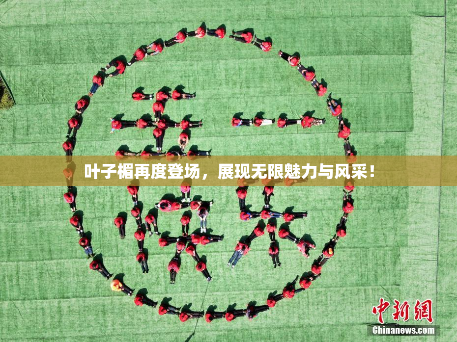 叶子楣再度登场，展现无限魅力与风采！