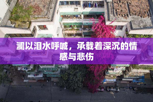 澜以泪水呼喊，承载着深沉的情感与悲伤