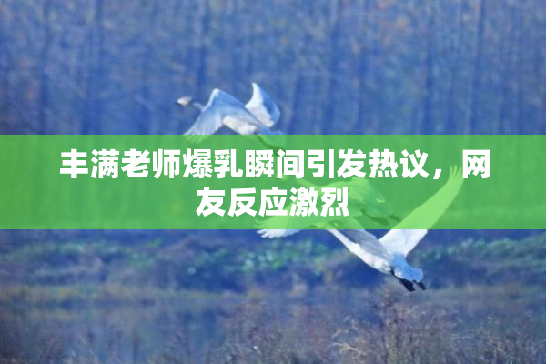 丰满老师爆乳瞬间引发热议，网友反应激烈