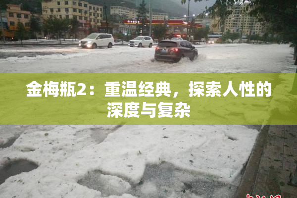 金梅瓶2：重温经典，探索人性的深度与复杂