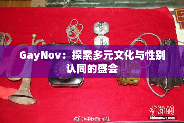 GayNov：探索多元文化与性别认同的盛会