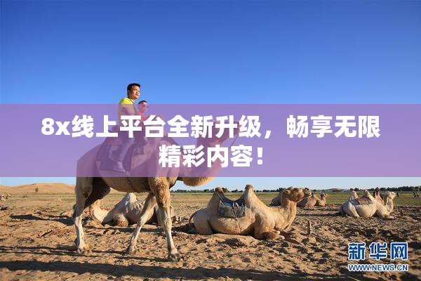 8x线上平台全新升级，畅享无限精彩内容！