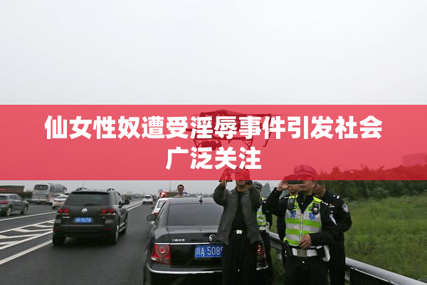 仙女性奴遭受淫辱事件引发社会广泛关注