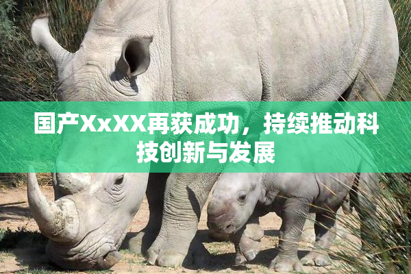 国产XxXX再获成功，持续推动科技创新与发展