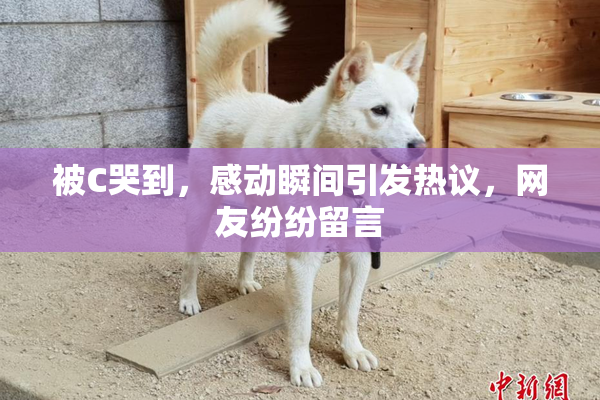 被C哭到，感动瞬间引发热议，网友纷纷留言