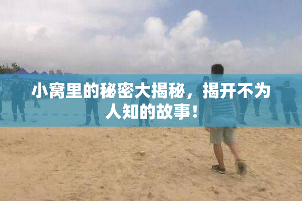 小窝里的秘密大揭秘，揭开不为人知的故事！