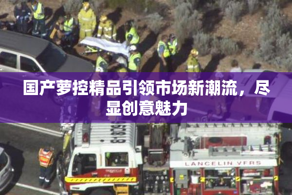 国产萝控精品引领市场新潮流，尽显创意魅力