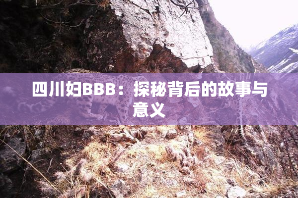 四川妇BBB：探秘背后的故事与意义