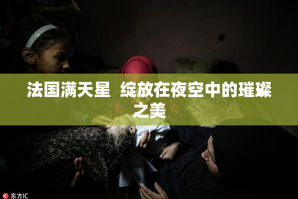 法国满天星  绽放在夜空中的璀璨之美