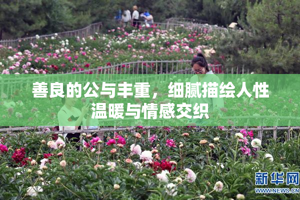 善良的公与丰重，细腻描绘人性温暖与情感交织