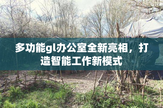 多功能gl办公室全新亮相，打造智能工作新模式