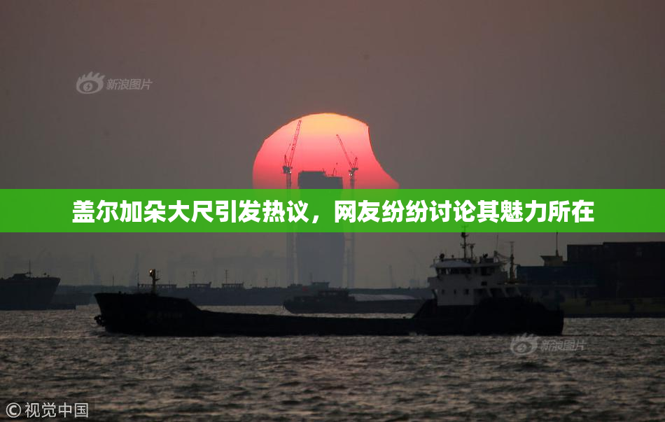 盖尔加朵大尺引发热议，网友纷纷讨论其魅力所在