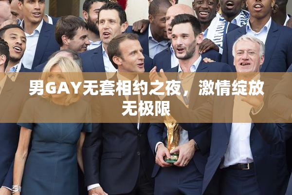 男GAY无套相约之夜，激情绽放无极限