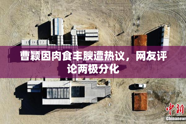 曹颖因肉食丰腴遭热议，网友评论两极分化