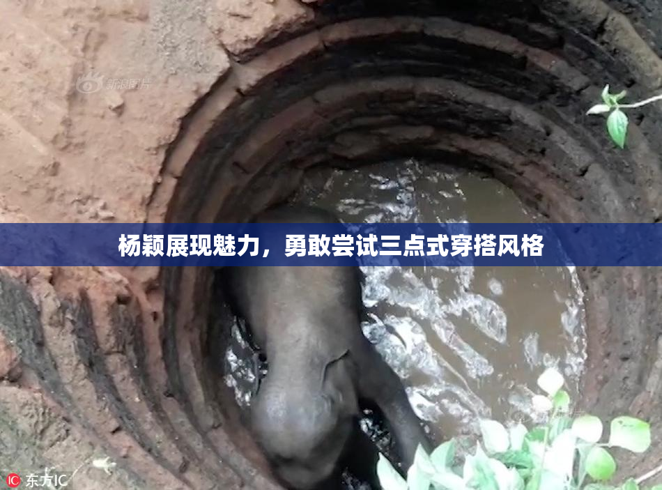 杨颖展现魅力，勇敢尝试三点式穿搭风格