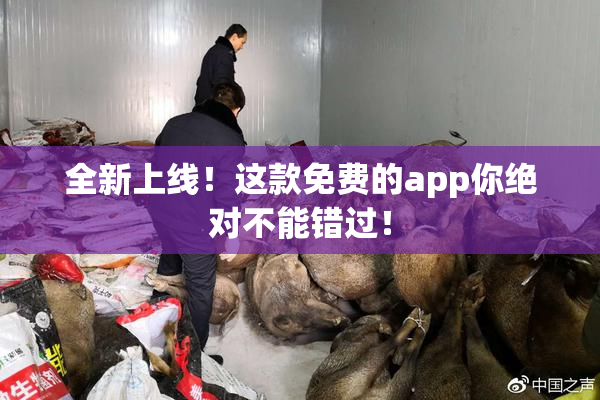 全新上线！这款免费的app你绝对不能错过！