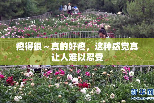 疼得很～真的好疼，这种感觉真让人难以忍受